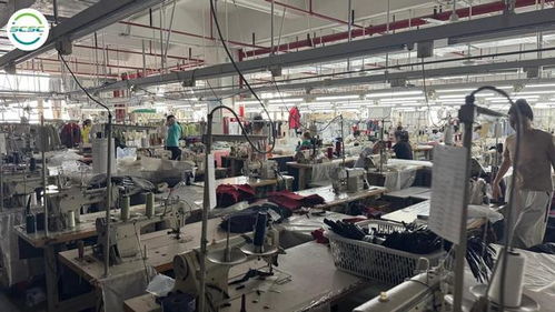 智慧行定制化咨詢 企業GSS驗廠無憂，高效拿證拓市場